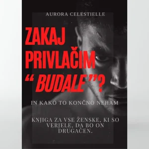 ZAKAJ PRIVLAČIM "BUDALE"? (SLO)